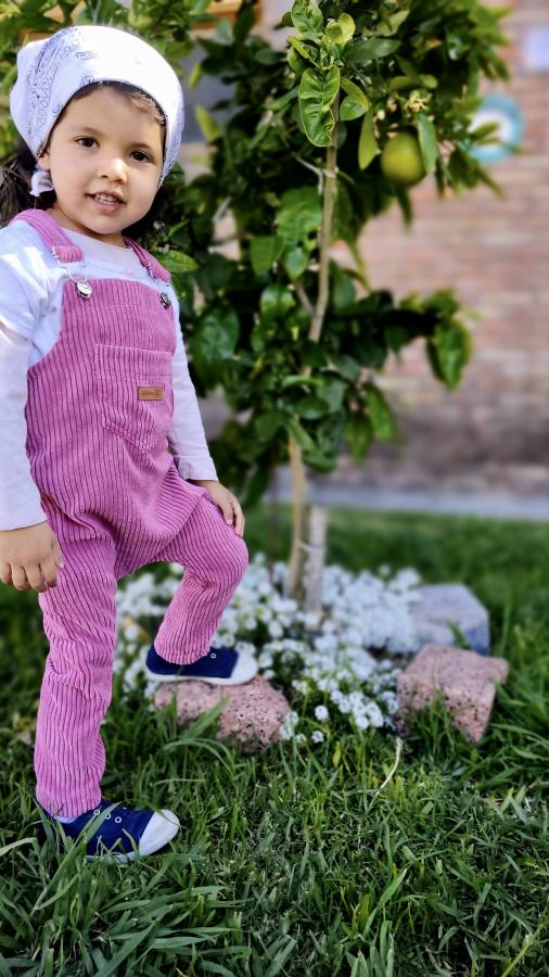 Evolutivo 15 a 36 meses 